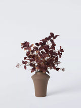 John Lewis John Lewis Artificial Autumn Eucalyptus Plant in Ceramic Vase, Brown, H56cm- Buy online at McGrocer