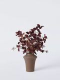 John Lewis artificial autumn eucalyptus plant H56cm - British product