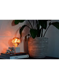 Calex pink rose dimmable LED bulb 4W E27 - British product