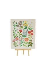 John Lewis Caterpillar Cross Stitch Birthday Botanicals Cross Stitch Kit- Buy online at McGrocer