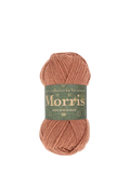 West Yorkshire Spinners Morris DK Knitting Yarn, 50g