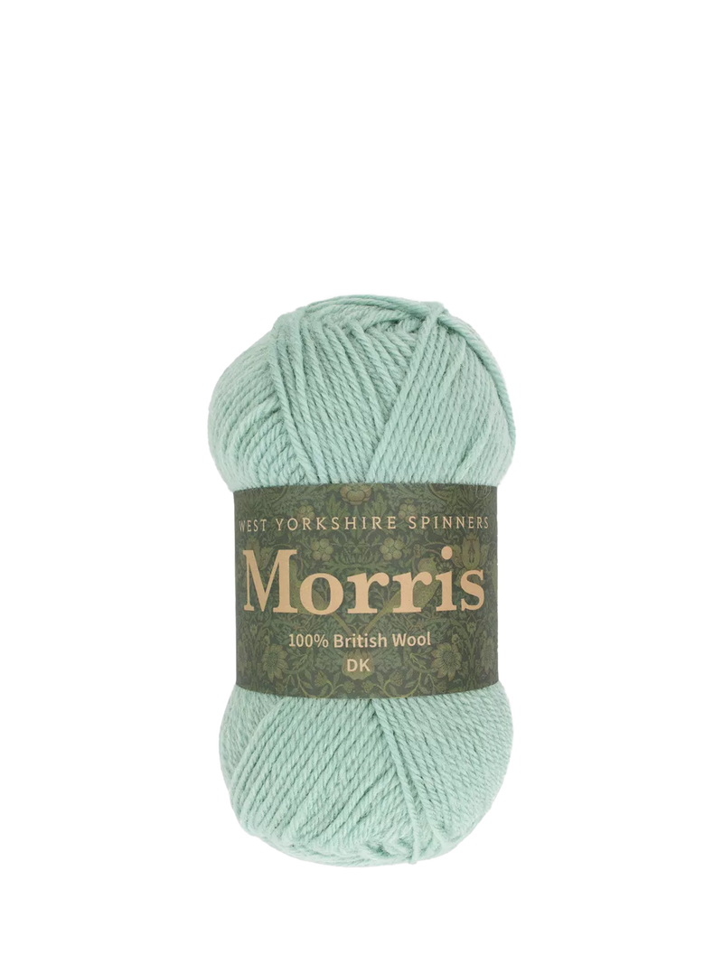 West Yorkshire Spinners Morris DK Knitting Yarn, 50g