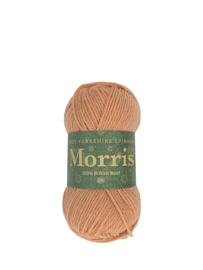West Yorkshire Spinners Morris DK Knitting Yarn, 50g