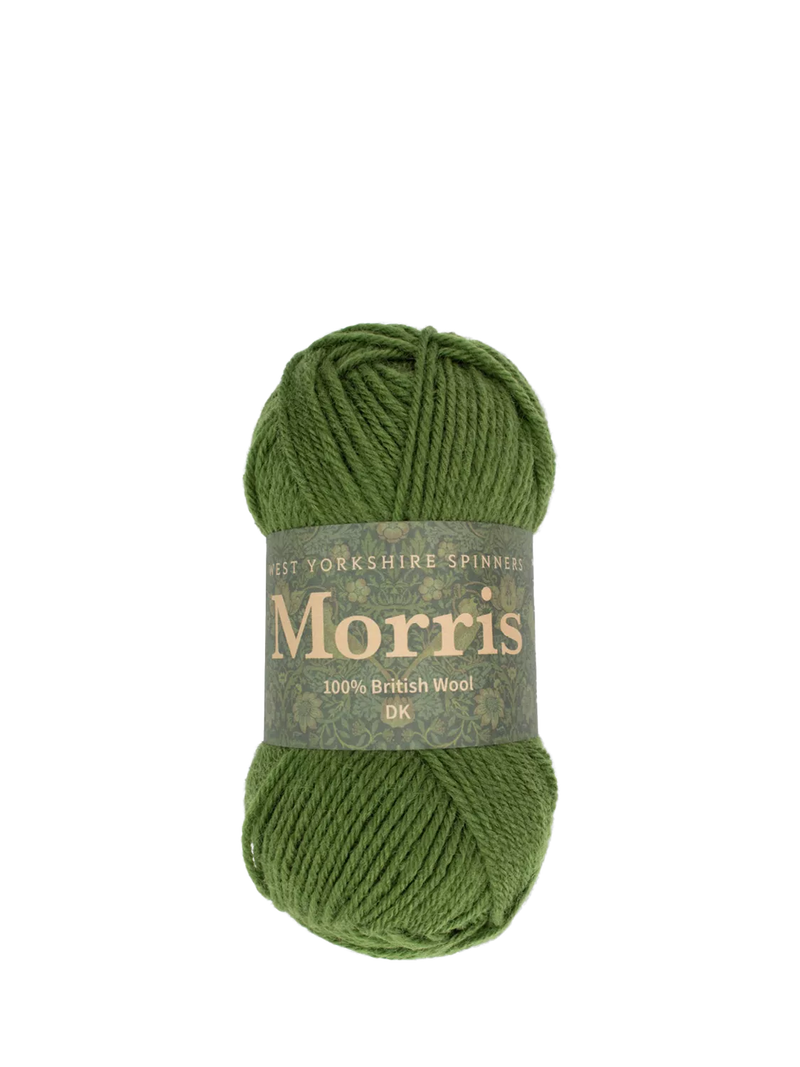West Yorkshire Spinners Morris DK Knitting Yarn, 50g