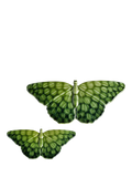 Poole Pottery butterfly ornaments Maya set of two - British product