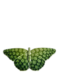 Poole Pottery butterfly ornaments Maya set of two - British product