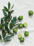 The White Company Lime & Bay Indulgence Gift Set, UK version