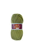 Stylecraft Special Chunky Knitting Yarn 100g