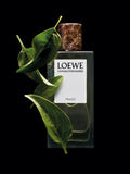 LOEWE Prado eau de parfum 100ml, UK version