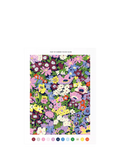 Galison Liberty Thorpe Paint by Numbers Kit - British product