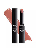 DIOR Rouge Dior On Stage Lipstick 2g