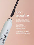 UKLASH lengthening mascara black 7g (British brand)