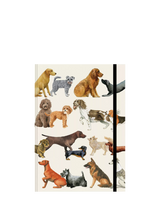 John Lewis Emma Bridgewater A5 Dogs Notebook, Multi- Buy online at McGrocer
