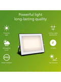 Philips outdoor flood light 50W LED black (British brand)