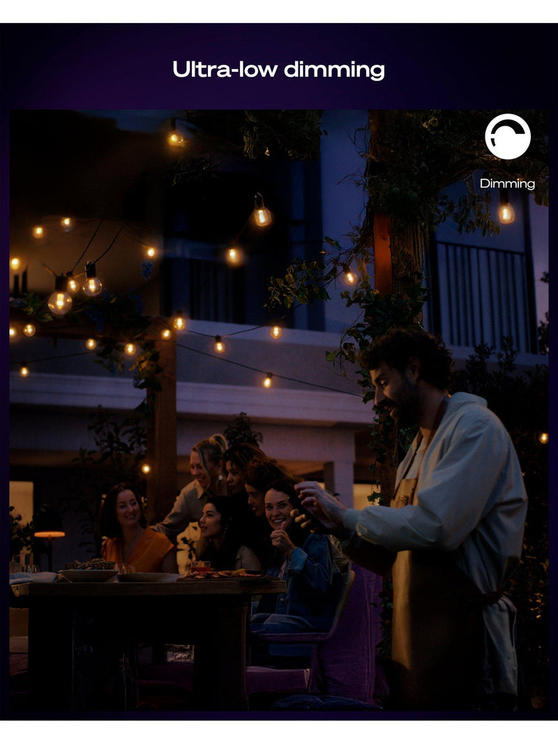 Philips Hue Festavia outdoor globe string lights 21m - British product