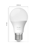Philips Hue starter kit with two E27 bulbs - British product