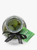 The Little Botanical glass terrarium botanical display 12cm (British brand)