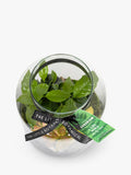 The Little Botanical glass terrarium 17cm (British brand)