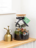 The Little Botanical glass terrarium 17cm (British brand)