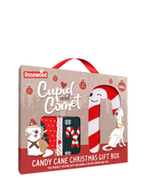 John Lewis Rosewood Dog Candy Cane Christmas Gift Box Medium- Buy online at McGrocer