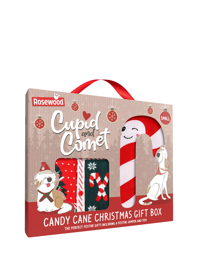 Rosewood Candy Cane dog Christmas gift box medium, UK version