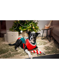 Rosewood Candy Cane dog Christmas gift box medium, UK version
