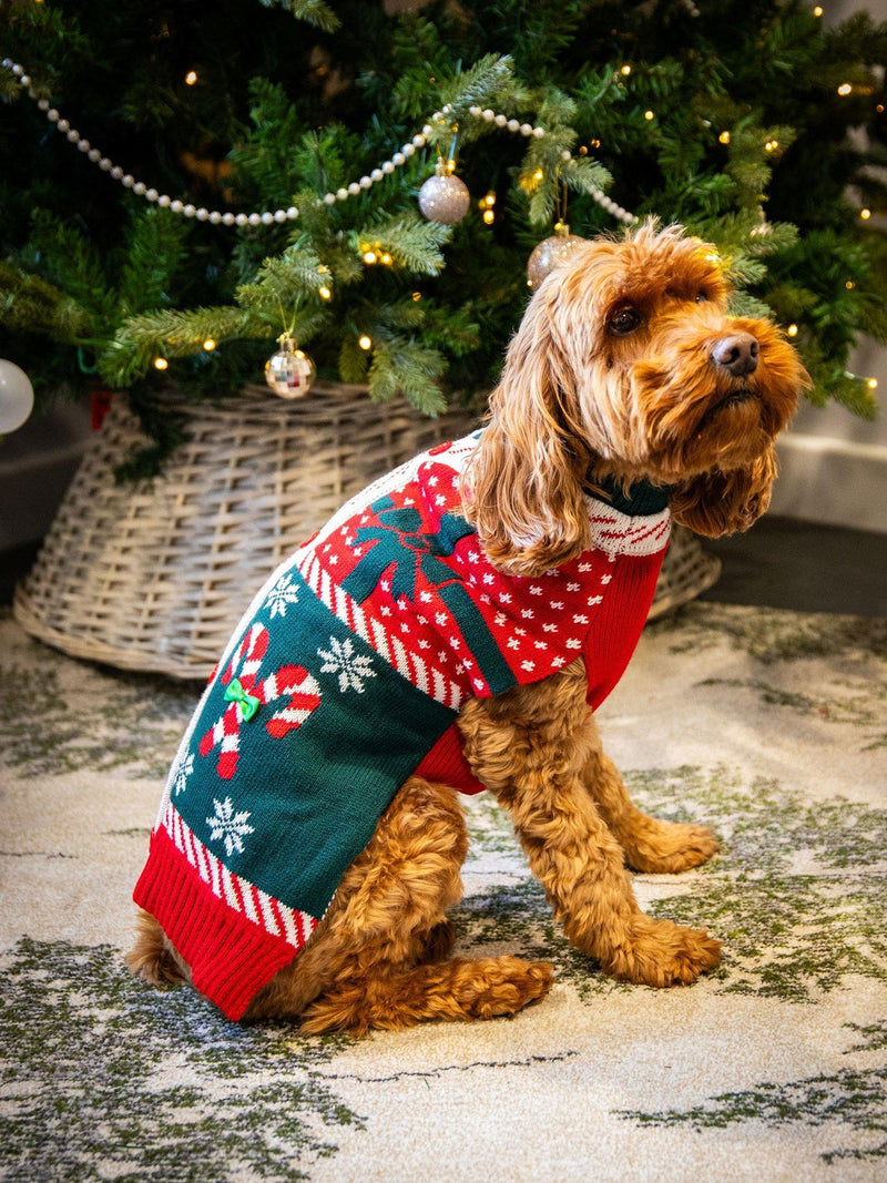Rosewood Candy Cane dog Christmas gift box medium, UK version