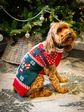 Rosewood Candy Cane dog Christmas gift box medium, UK version