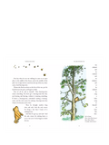 Winnie the Pooh Anniversary Edition children's book, imported from the UK