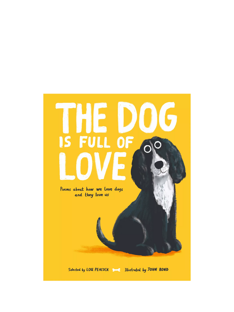 Nosy Crow kids poetry book The Dog is Full of Love - British product
