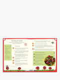 The Gruffalo Gruffalo Crumble recipe book hardback (British brand)