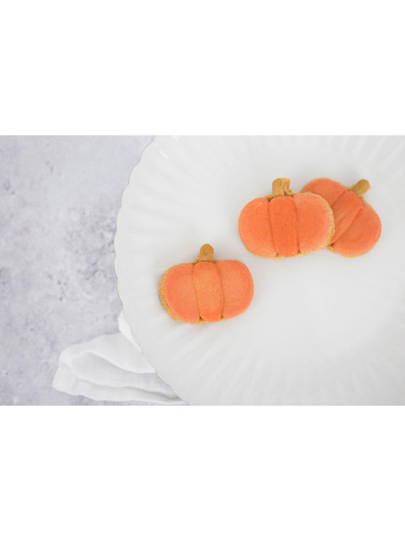 Fluff & Crumble pumpkin dog biscuits jar (British brand)