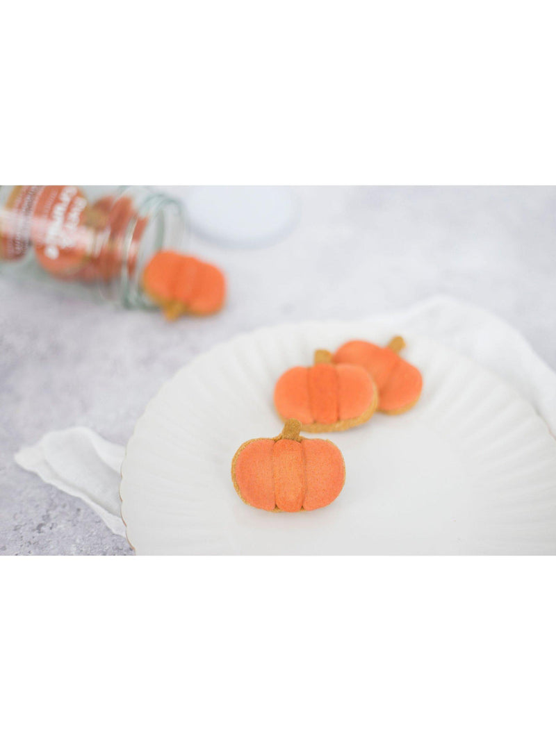 Fluff & Crumble pumpkin dog biscuits jar (British brand)