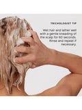 Philip Kingsley Body Building Weightless Shampoo 500ml (British brand)