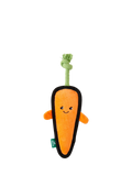Beco Pets carrot dog toy with squeaker (British brand)