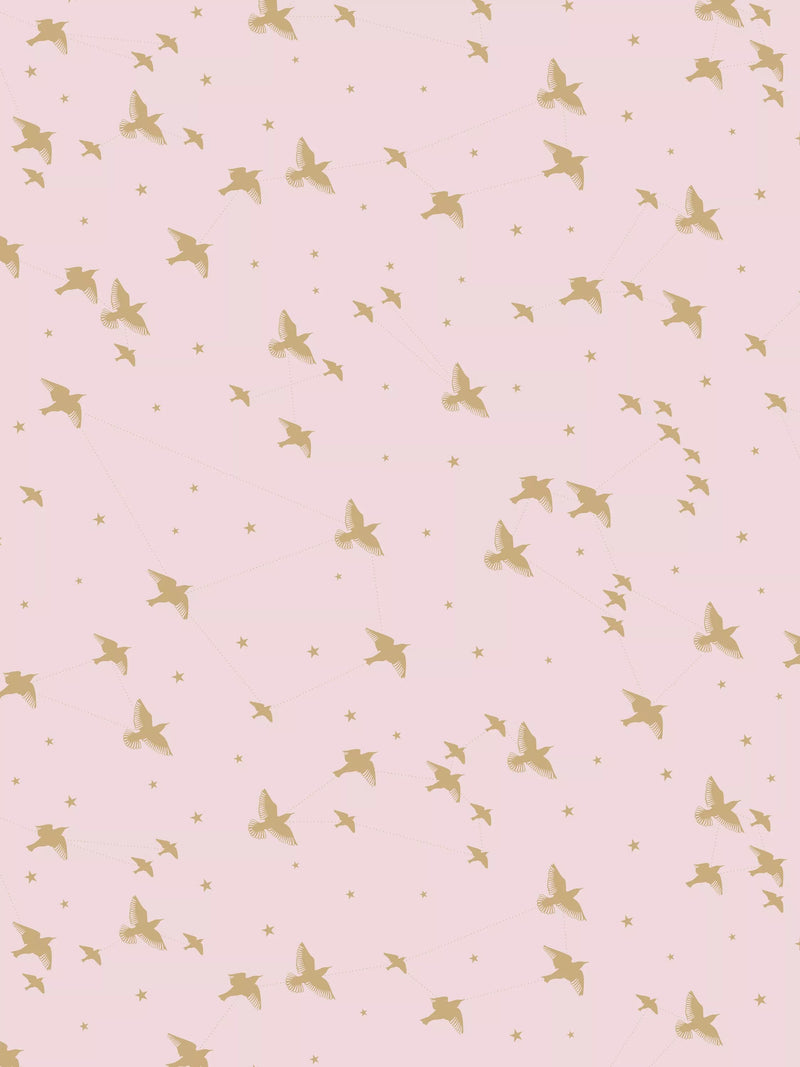 Mini Moderns Star-Ling Rose Wallpaper in Marais/Gold color - British product