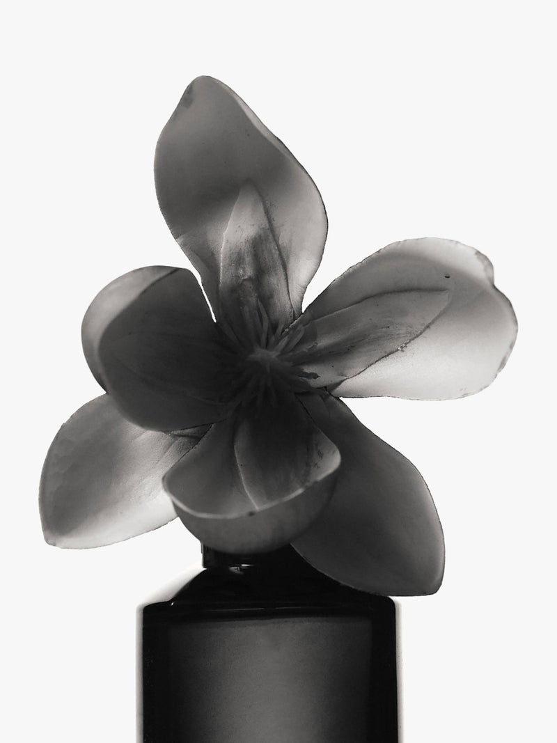 Fenty Beauty Eau de Parfum warm floral scent - British product