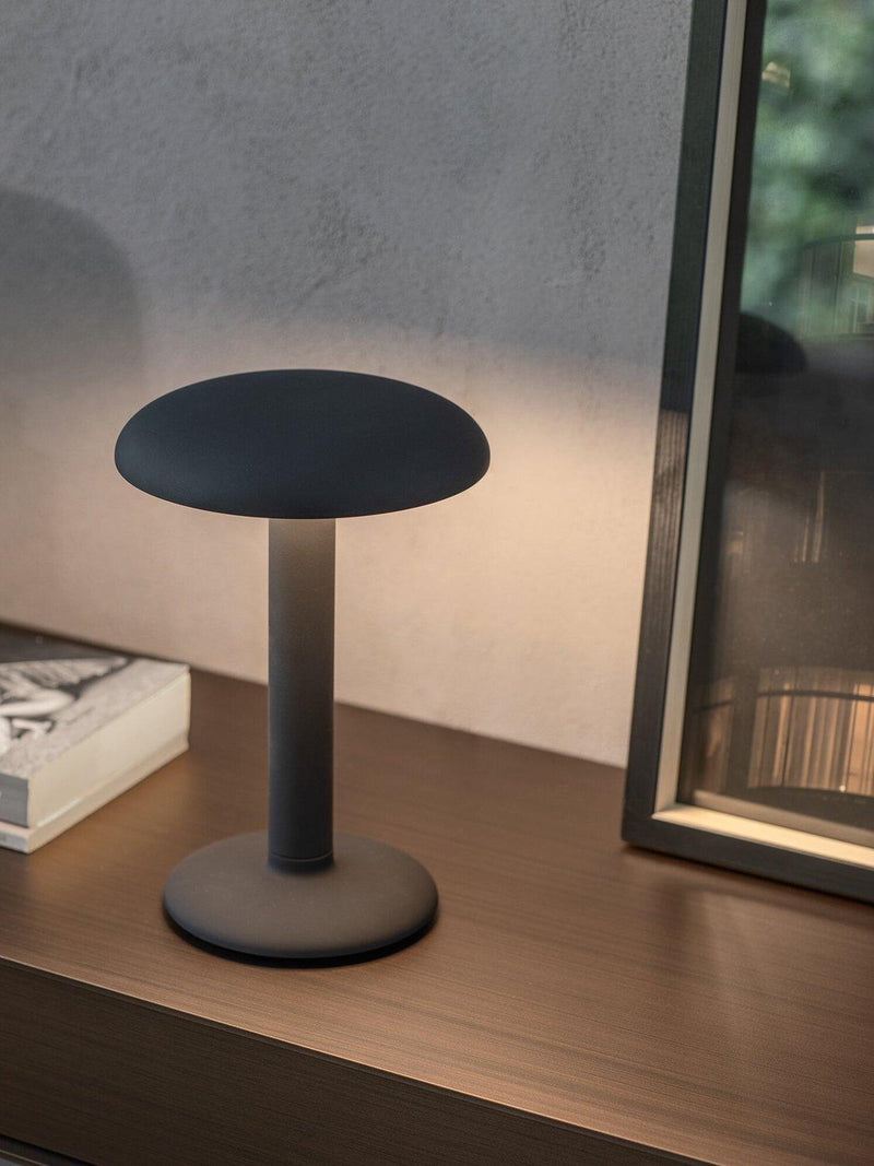 Flos Gustave rechargeable portable table lamp medium size (British brand)