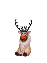 John Lewis The Crafty Kit Company Reindeer 3D Needle Felting Kit- Buy online at McGrocer