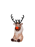 The Crafty Kit Company reindeer needle felting kit - British product