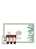 Kama Ayurveda Bringaras hair gift set discovery set, imported from the UK