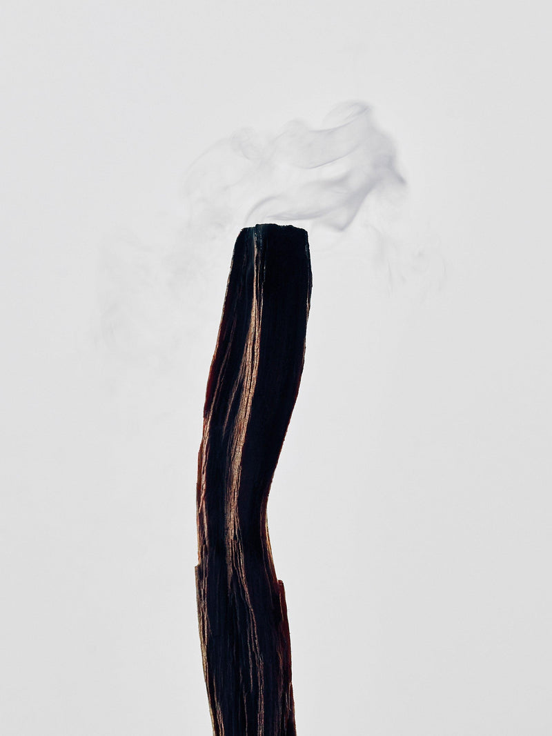 LOEWE Palo Santo scented candle 170g, imported from the UK