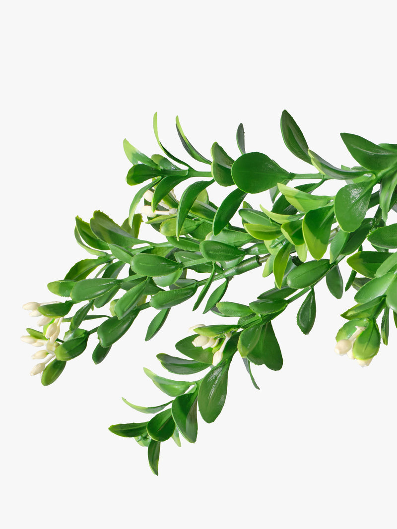 Vistafolia artificial Buxus trailer 2m - British product