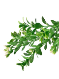 Vistafolia artificial Buxus trailer 2m - British product