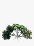 Vistafolia artificial colour box with wild yews and boxwood, UK version