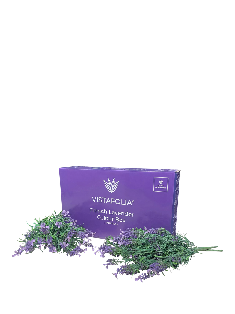 Vistafolia artificial purple lavender Colour Box outdoor, UK version
