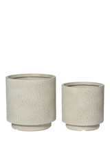 John Lewis Kaemingk Leopard Print Outdoor Planters, Set of 2, Natural- Buy online at McGrocer