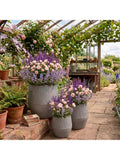 Kaemingk outdoor planters set of 3 grey, imported from the UK