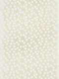 Command picture hanging strips mega pack 5kg (British brand)