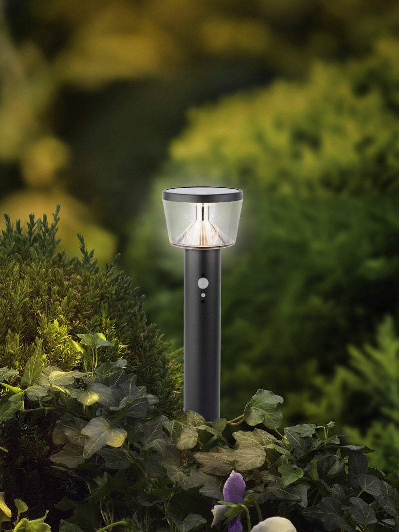 Kaemingk solar stake light black (British brand)